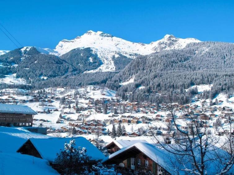 Chalet Aphrodite West Apartment Grindelwald Exterior photo