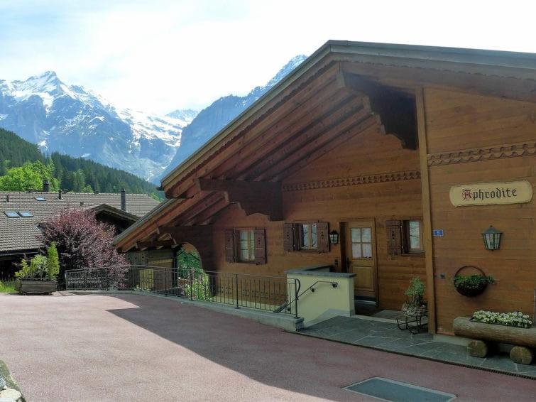 Chalet Aphrodite West Apartment Grindelwald Exterior photo